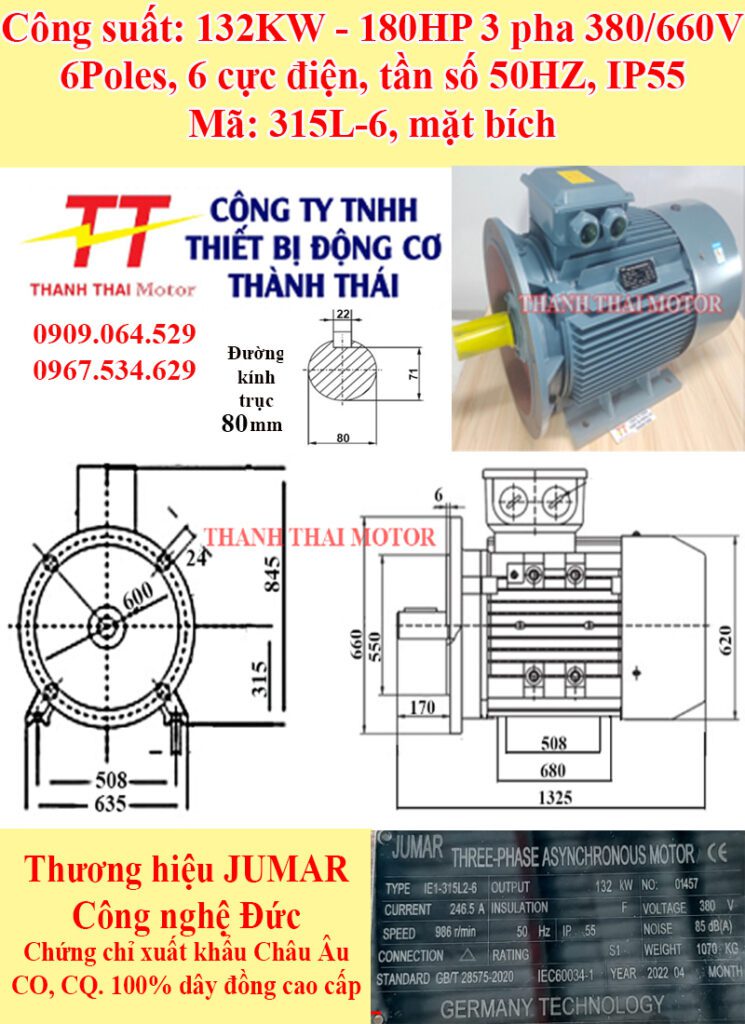 Động cơ điện 3 pha 132KW 180HP 6Poles mặt bích