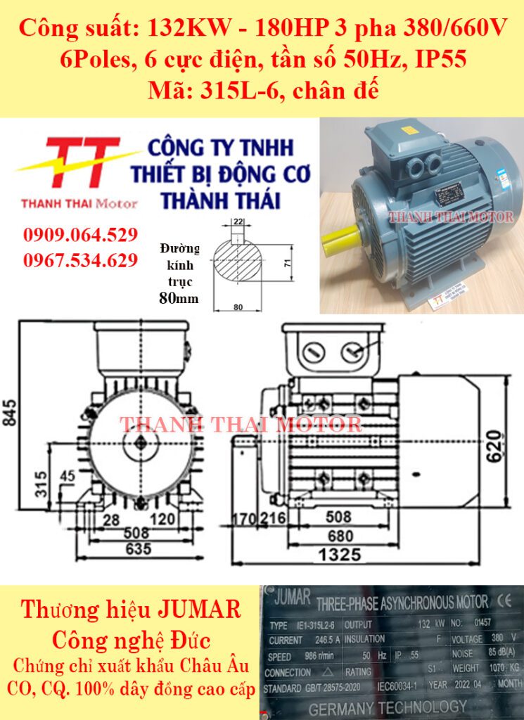 Động cơ điện 3 pha 132KW 180HP 6Poles chân đế