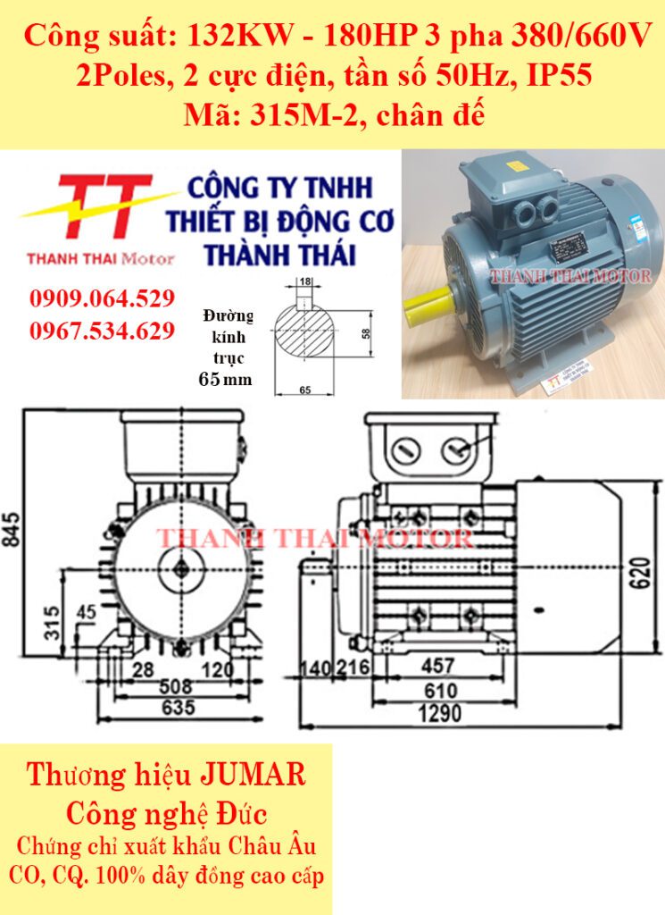 Động cơ điện 3 pha 132KW 180HP 2Poles chân đế