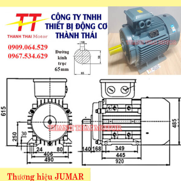 Động cơ điện 3 pha 30KW 40HP 8Poles chân đế