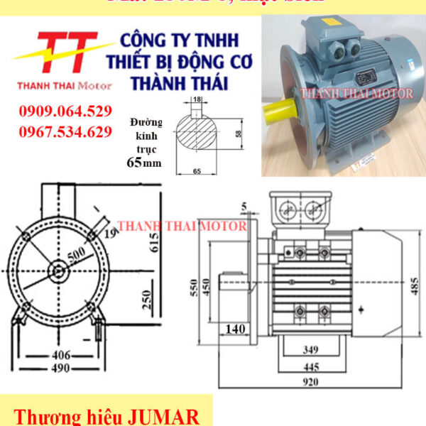 Động cơ điện 3 pha 30KW 40HP 8Poles mặt bích