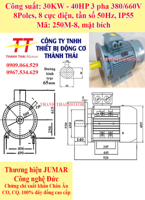 Động cơ điện 3 pha 30KW 40HP 8Poles mặt bích