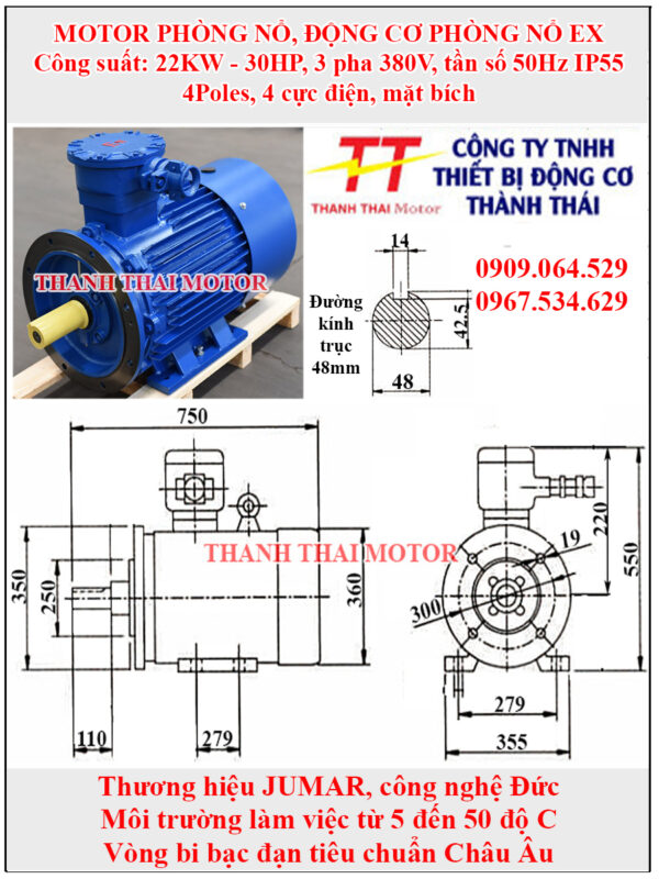 Động cơ phòng nổ 22KW 30HP 4Poles mặt bích