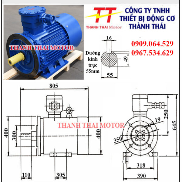 Động cơ phòng nổ 22KW 30HP 6Poles mặt bích