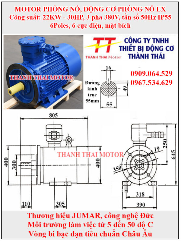 Động cơ phòng nổ 22KW 30HP 6Poles mặt bích