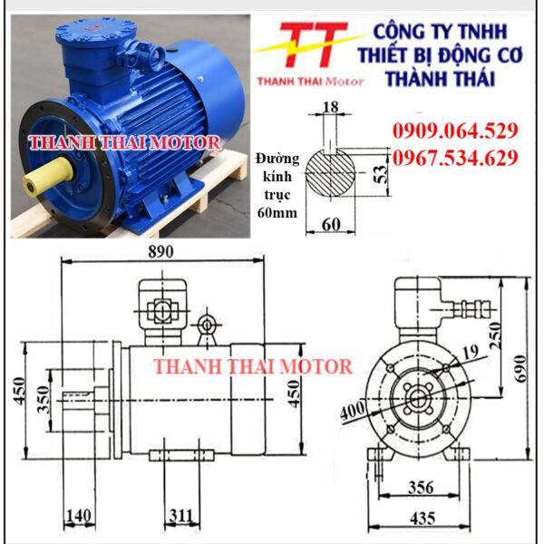 Động cơ phòng nổ 22KW 30HP 8Poles mặt bích