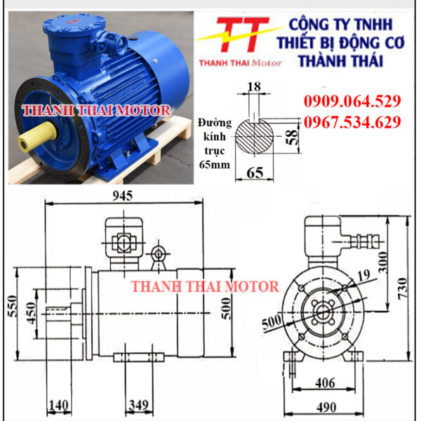 Động cơ phòng nổ 30KW 40HP 8Poles mặt bích