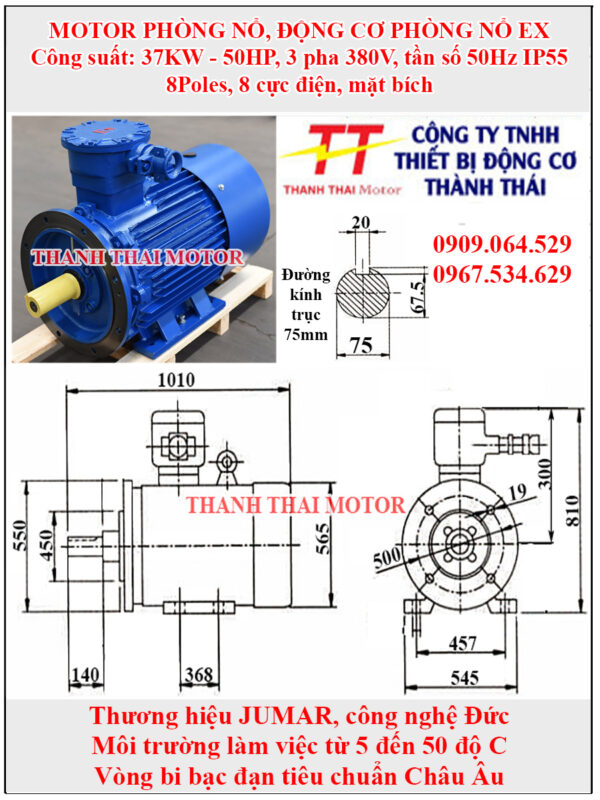 Động cơ phòng nổ 37KW 50HP 8Poles mặt bích