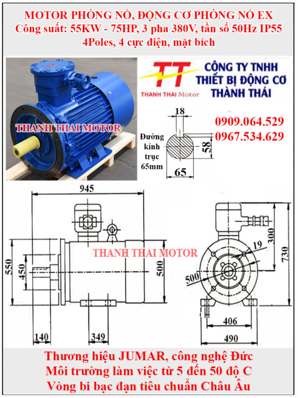 Động cơ phòng nổ 55KW 75HP 4Poles mặt bích