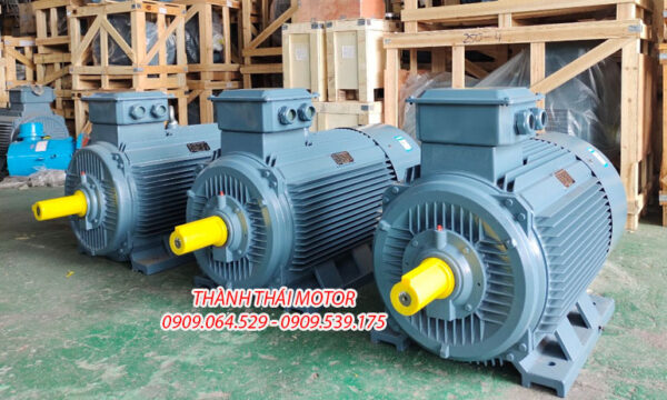 Mô tơ 3 pha 30KW 40HP chân đế