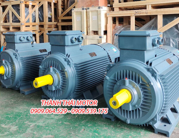 Mô tơ 3 pha 30KW 40HP chân đế