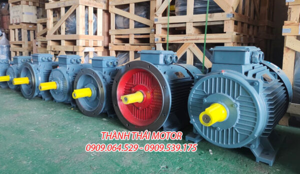 Mô tơ 3 pha 30KW 40HP mặt bích