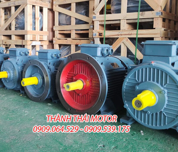 Mô tơ 3 pha 30KW 40HP mặt bích