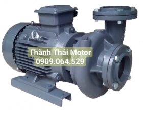Máy bơm nước 3 pha TECO - Thành Thái Motor