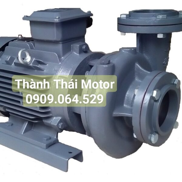 Máy bơm nước 3 pha TECO - Thành Thái Motor