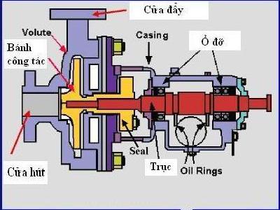 Cấu tạo của máy bơm nước chạy xăng