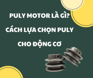 Puly Motor là gì Cách lựa chọn Puly cho động cơ