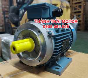Công suất động cơ điện Thành Thái Motor