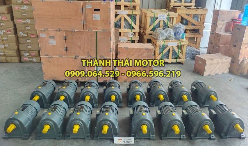 Motor băng tải là gì